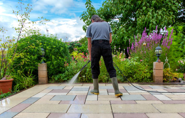 Best Driveway Cleaning and Restoration in Orange Park, FL